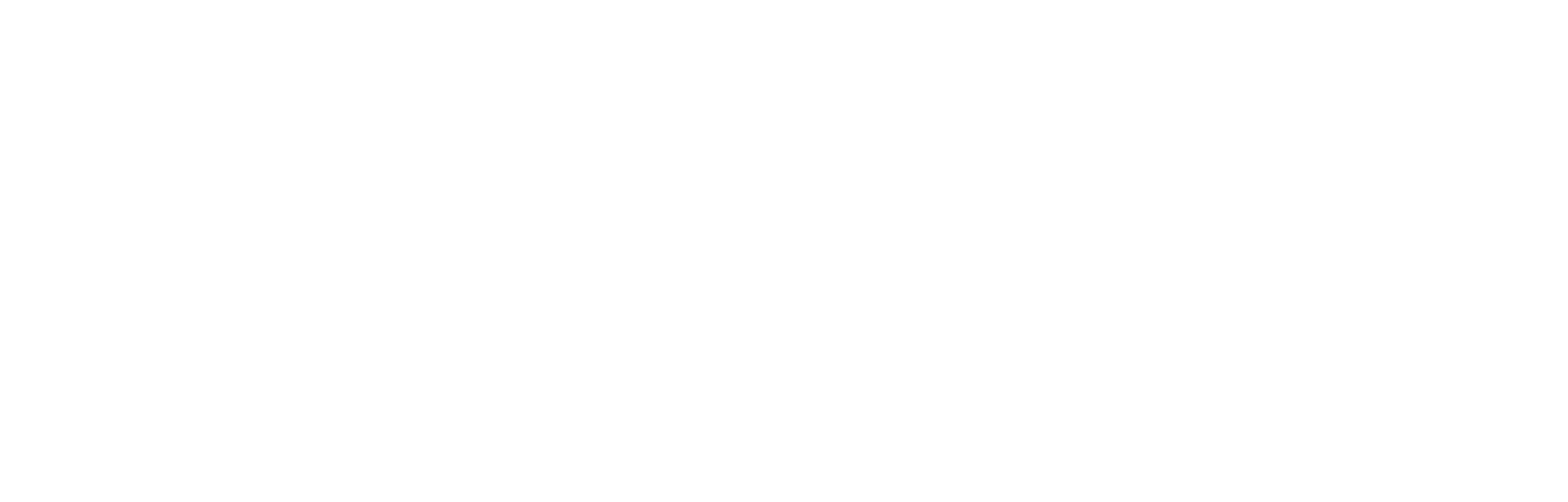 white logo transparent background1 - Cannaffi®